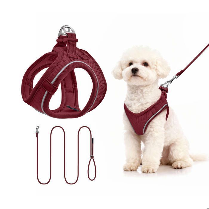 Harnais Pour Petit Chien Réfléchissant Avec Laisse - Design Step-In, Ajustable Et Respirant - Parfait Pour Promenades Et Entraînement - 14