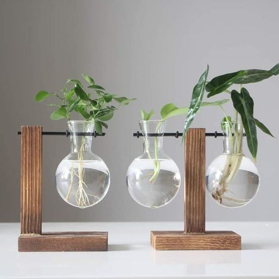 Vase de plantes de bureau hydroculture vase en verre avec support en bois  vase suspendu vase floral vintage vase de table tran[1031] - Cdiscount  Maison