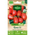 Tomate roma bio Vilmorin-0