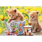 CASTORLAND Puzzle 500 pièces Tea Time