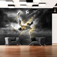 Papier peint Hobby Football legend 350x245 cm - Papier peint panoramique - Intissé