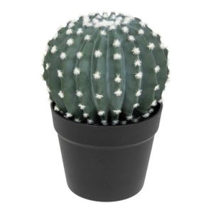 FLEUR ARTIFICIELLE Plante artificielle Cactus en pot H 25 cm - Atmosphera