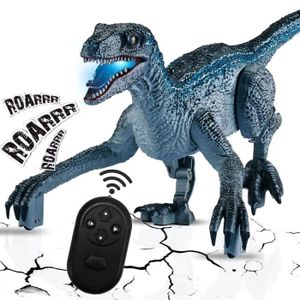 Jouet dinosaure télécommandé, jouet dinosaure, camions monstres pour  enfants, voiture dinosaure télécommandée avec musique et lumières, jouets  de voiture RC à rotation à 360 ° pour cadeau d'anniversaiParentVert