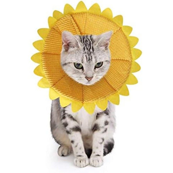 Comparer les prix de Collerettes pour Chiens Chat Anti-Morsure Protection Ajustable Collier de Récupération Comfy Cone pour Chiens et Chat (S)