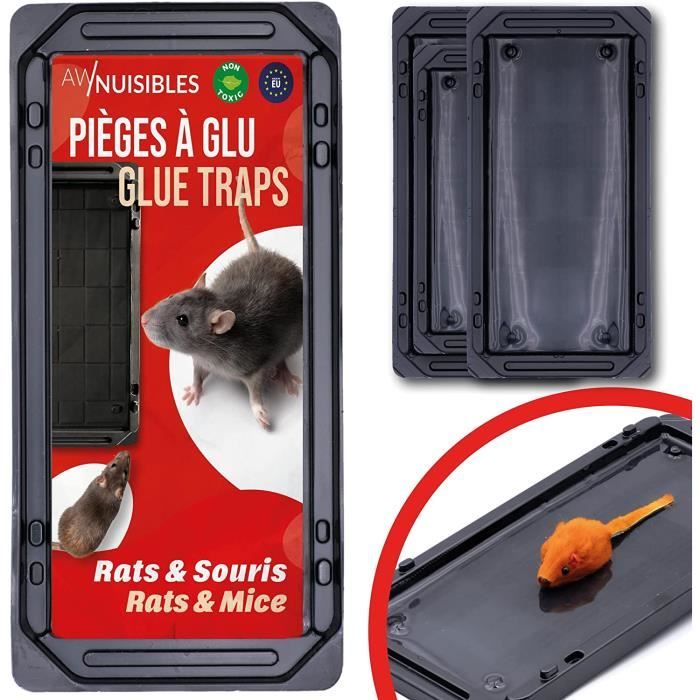 Generic 3*Piège à colle de souris Non toxique - Panneau collant, attrape- souris er Rats à prix pas cher