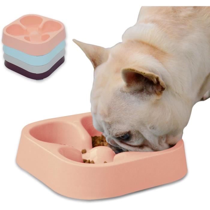 Gamelle Pour Chien SWZYOR à Alimentation Lente,Gamelle Pour Chat