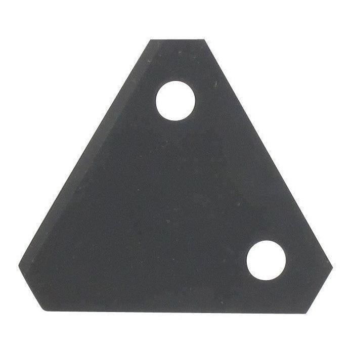 Lame adaptable triangulaire pour tondeuse BRILL