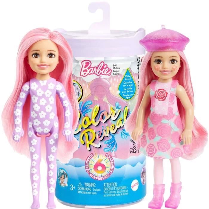 Poupée Barbie Chelsea Color Reveal - Mattel - Soleil et Pluie - Accessoires  - Mixte - Enfant - Cdiscount Jeux - Jouets