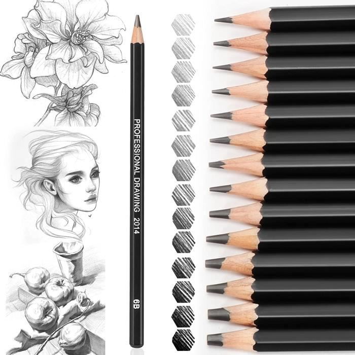 Lot De 24 Crayons à Dessin Graphite Professionnels - Gamme Complète 10B à 2H - Crayons Hexagonaux En Bois De Peuplier - Pour Artistes Et Débutants