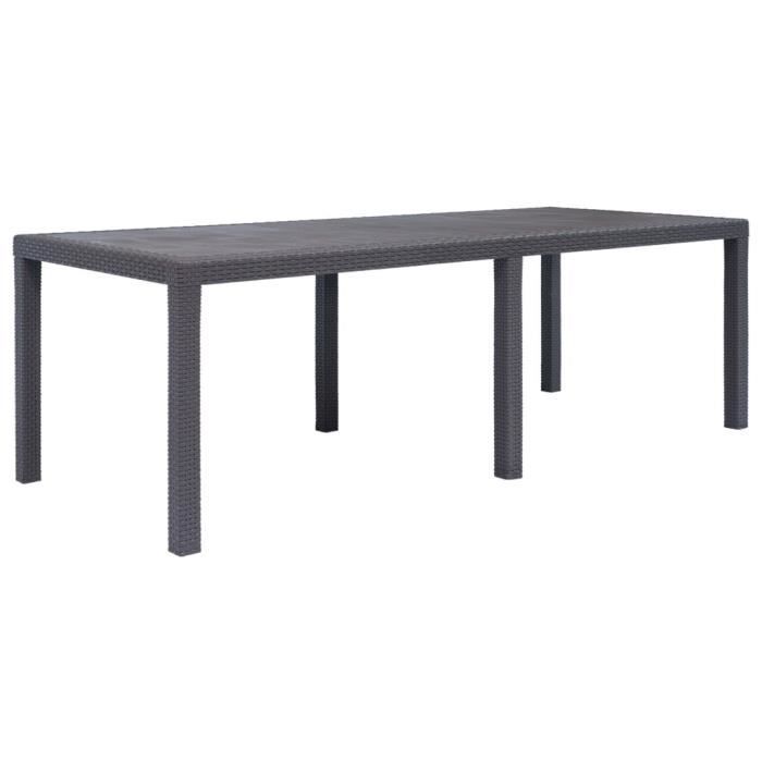 Table de jardin - VIDAXL - 220x90x72 cm - Plastique - Aspect de rotin - 6 personnes