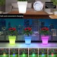 Pot de fleurs lumineux LED étanche pour jardin - VGEBY-2