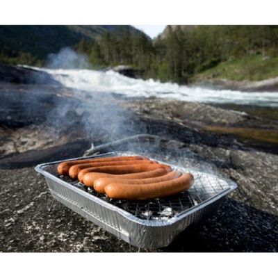 EAZYBBQ Barbecue jetable naturel - La Poste