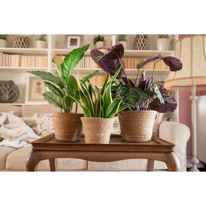 Cache-Pot Bohème Decorasian Lot De 3 - Jonc De Mer Tressé - Avec Insert Plastique - Ø 20, 22, 25cm
