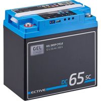 ECTIVE EDC65SC Batterie Décharge Lente Deep Cycle 12V 65Ah Gel avec PWM-Chargeur et Ecran LCD 228 x 137 x 214 mm