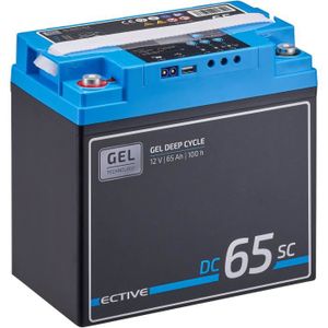 BATTERIE VÉHICULE ECTIVE EDC65SC Batterie Décharge Lente Deep Cycle 12V 65Ah Gel avec PWM-Chargeur et Ecran LCD 228 x 137 x 214 mm