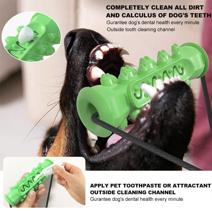 Chien à mâcher jouets chiot formation de dentition corde molaire tige jouets ventouse tirer chien jouet (vert)