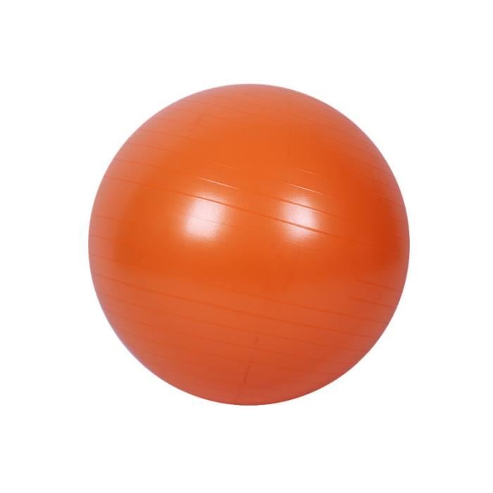 Balle de yoga pour exercices de stabilité d'équilibre Workout Fitness Anti Burst 55cm TAPIS DE SOL - TAPIS DE GYM - TAPIS DE YOGA
