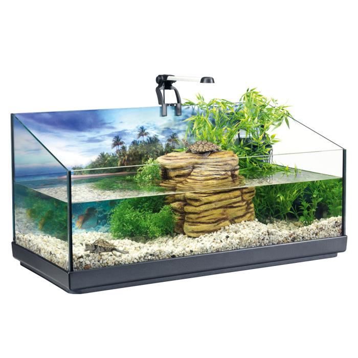 TETRA Repto AquaSet - Aquarium Terrarium Complet pour Reptiles et Amphibiens