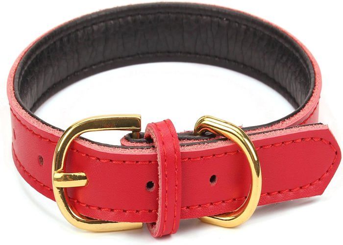 Comparer les prix de Colliers classiques de base en cuir rembourré pour animaux de compagnie, pour chats, chiots, petits et moyens chiens