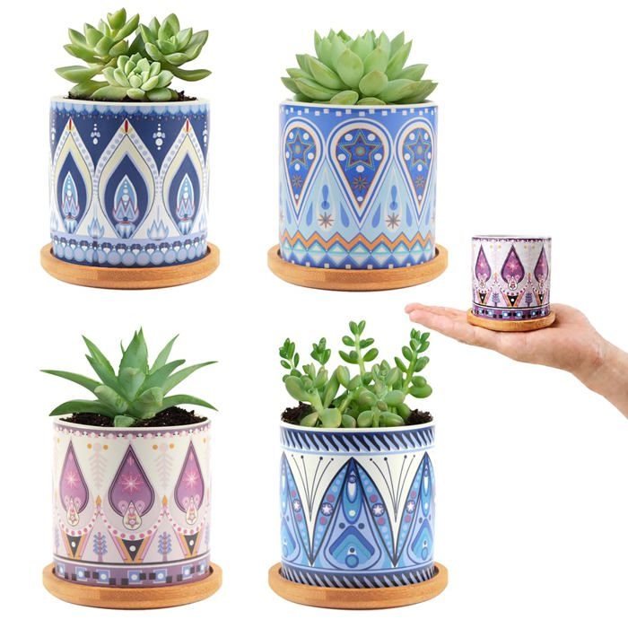 Lot de 4 pots à succulentes 7 3 cm en céramique - soucoupe en bambou motif mandala trous de drainage pour décoration intérieure