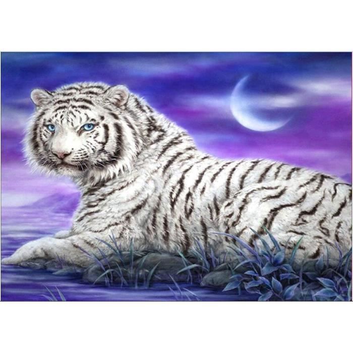 Kit De Peinture Diamant Par Numéro - Broderie Sur Toile 5D - Bricolage