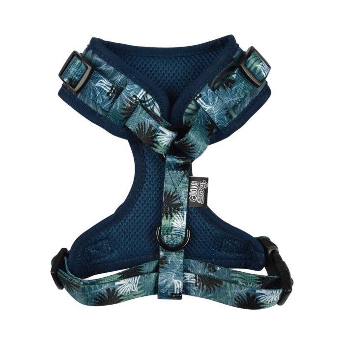 Meilleurs prix pour Harnais pour Chien Réglable Eden 46-61cm Bleu