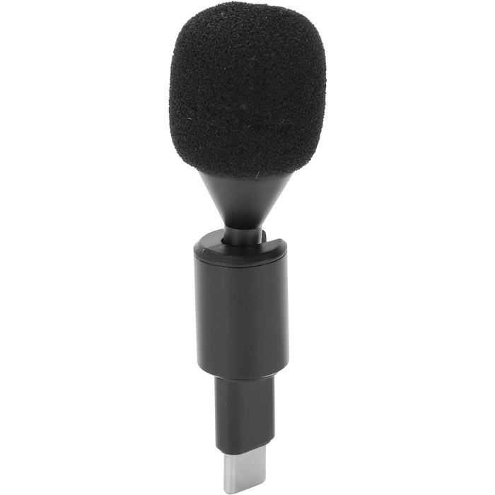 Mini Microphone, Interface De Type C Plug And Play, Micro Directionnel ...