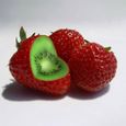 300 pièces-sac grainent de kiwi fraise douce vivace légère facile à cultiver les graines de plantes pour couloir.-1
