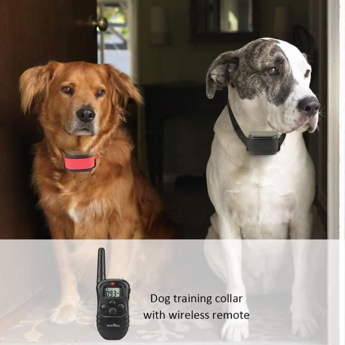 Wolfwill dog collar sale