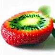 300 pièces-sac grainent de kiwi fraise douce vivace légère facile à cultiver les graines de plantes pour couloir.-3