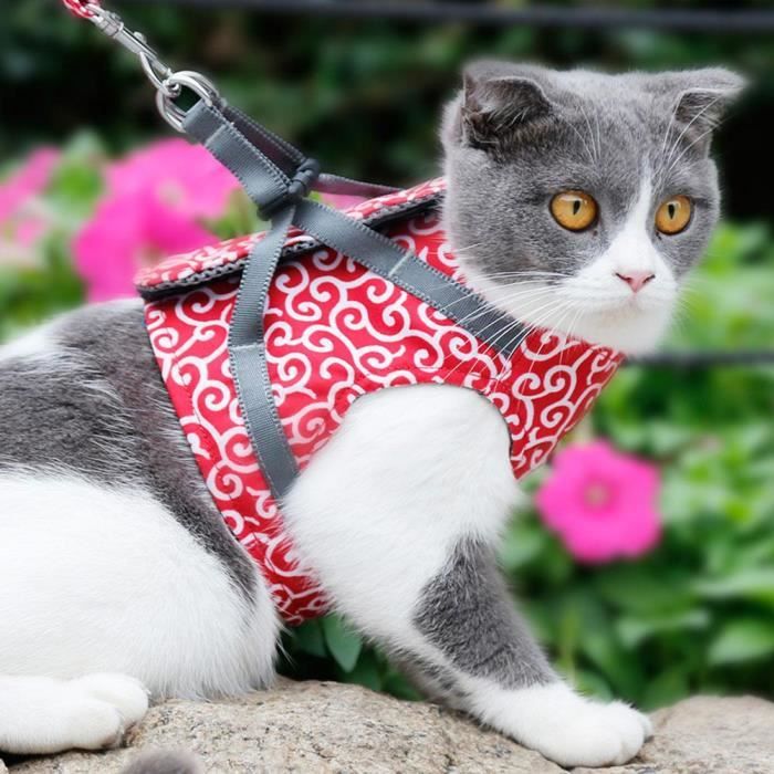 Gilet rembourré avec harnais pour chats avec laisse ajustable pour chat qui  marche (Rouge S)—bigr - Cdiscount