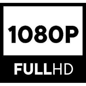 Antenne TV Extérieure amplifiée full HD ONE FOR ALL , filtre 5G