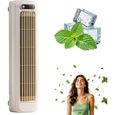 Climatiseur mobile portable froid chaud mural sans évacuation Ultra White VENTILATEUR