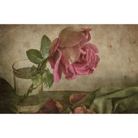 Papier Peint Art Photo INTISSÉ-ROSE EN PEINTURE SUR VERRE-(186980)-7lés-350x260cm-Mural Poster Géant XXL-Fleur Mer Nature Jungle