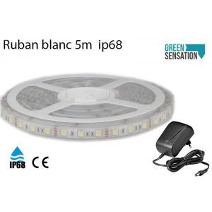 Pack Ruban LED 5m Monochrome + Transformateur 100W 24V IP65