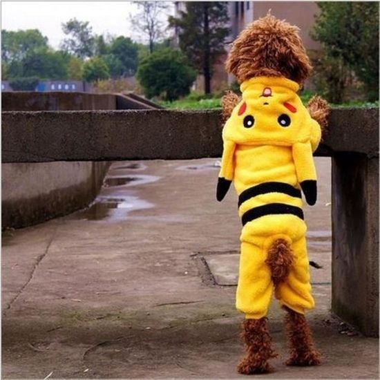 1pcs Pikachu Pokemon Mignon Chien Chat Chiot Coton Vetements Costumes Costume Jaune Xs Cdiscount