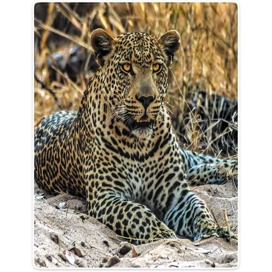 Couvertures Et Plaids Gris Glouton Sourire Pour Canapé,literie Chaude D