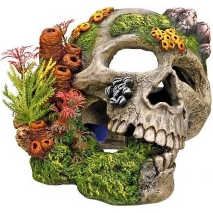 NOBBY 28135 DÉCORATION D'AQUARIUM REPRÉSENTANT UNE TÊTE DE MORT