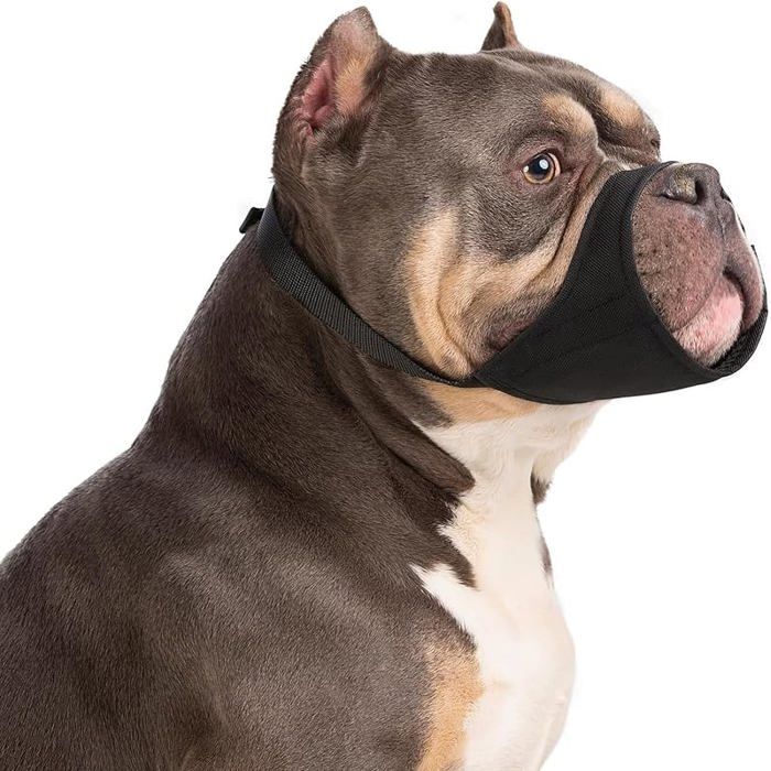 pour chien de petite taille à museau court pour chihuahua Shih Tzu Bully Boxer L Noir NOIR MUSELIERE