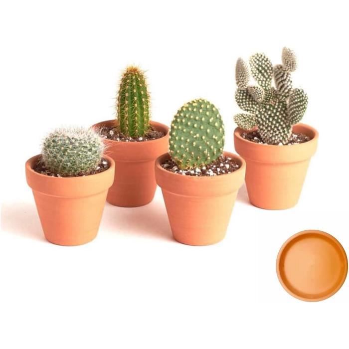 Toddmomy Lot De 5 Plateaux De Fleurs En Terre Cuite Pour Plantes D'intérieur