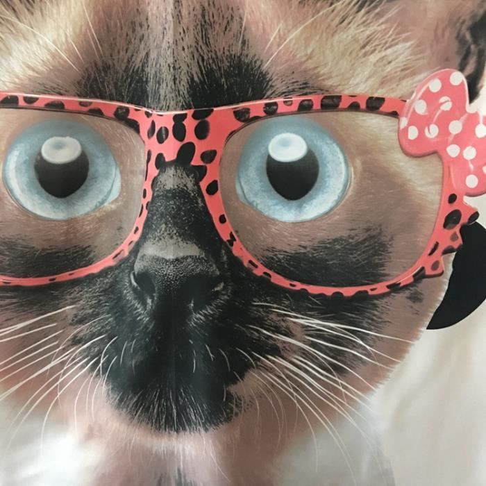 Rideau Douche Chat Lunette Deco Maison Cdiscount Maison