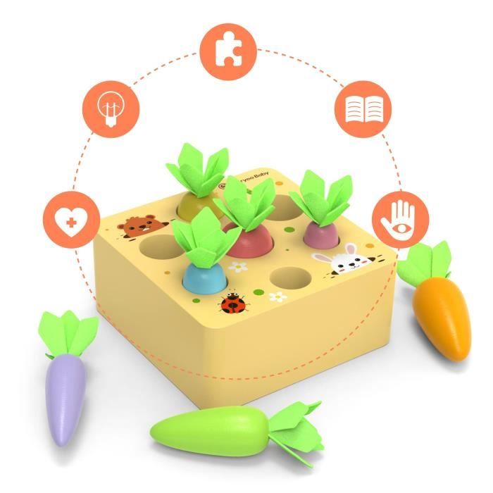 Jouet Montessori En Bois : Jeu De Tri Et Récolte De Carottes - Pour Enfants 1 à 3 Ans, Motricité Fine