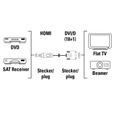 MCL Samar Câble HDMI Mâle (19PTS) / DVI-D Mâle 2M-2