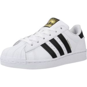Adidas superstar blanche Cdiscount