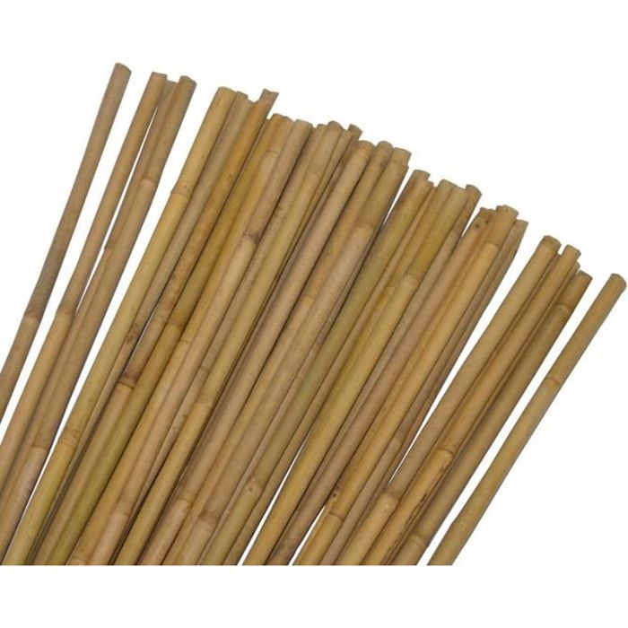 Tuteur en bambou de 120 cm - Idéal pour la pousse de vos plantes et légumes