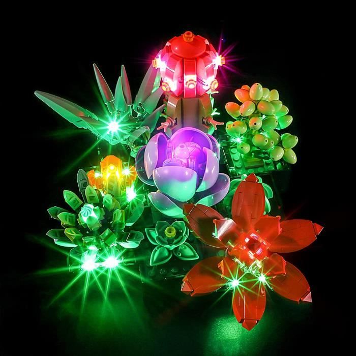 YEABRICKS LED Light pour Lego-10309 Creator Succulents Modele de Blocs de Construction (Ensemble Lego Non Inclus)