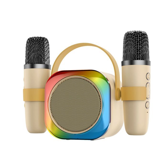 Microphone sans fil portable pour karaoké et audio domestique - Chine Haut-parle