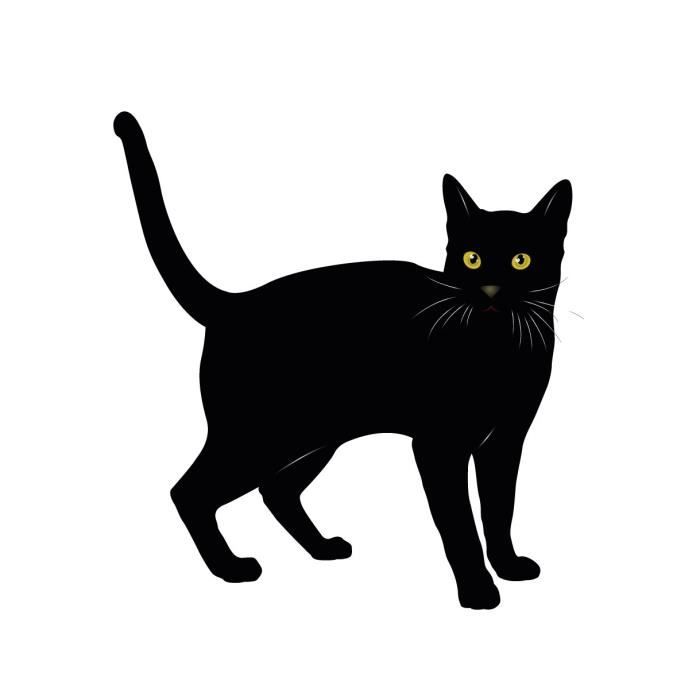 Stickers Autocollants Enfant Deco Chat Noir Ref 227 Dimension Autocollant Largeur 15 Cm Cdiscount Maison Stickers Autocollants Enfant Deco Chat Noir Ref 227 Dimension Autocollant Largeur 15 Cm Cdiscount Maison