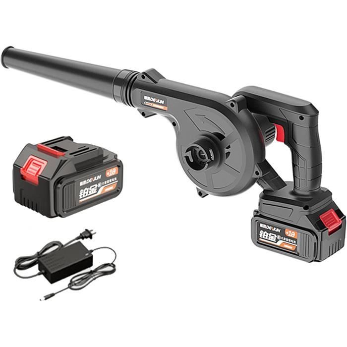 Souffleur De Feuilles Avec Batterie Et Chargeur, Aspirateur