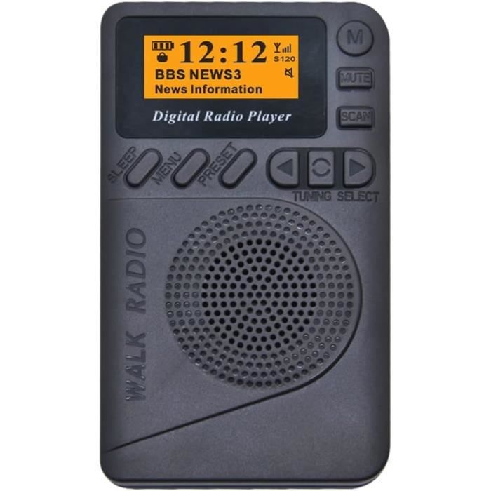 Poche Dab-FM + Radio NuméRique FM éCran LCD Son Haut-Parleur Mini ...